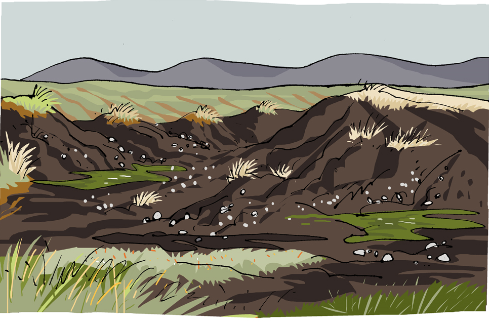 Peatlands Survey Scotland