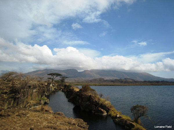 Fissue near Fentale volcano