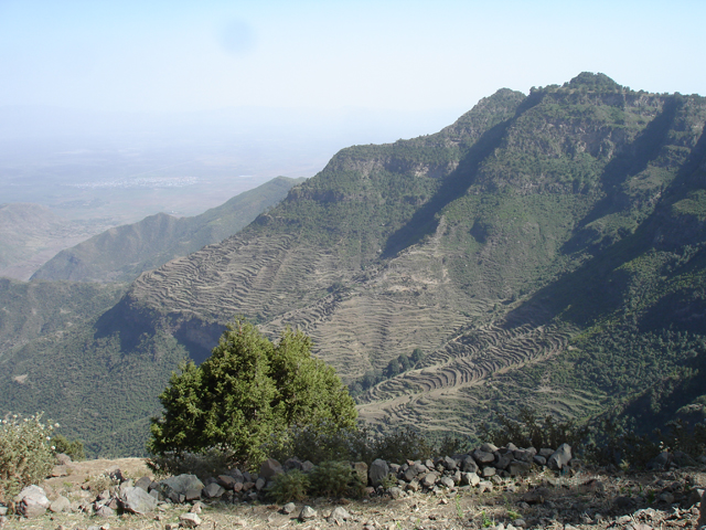 Ethiopian highlands