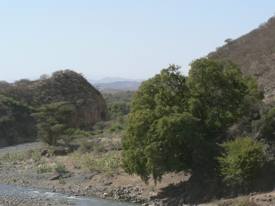 Ethiopian plateaux
