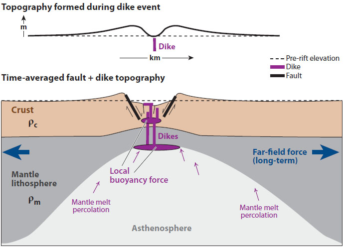 Cross section of a rift zone