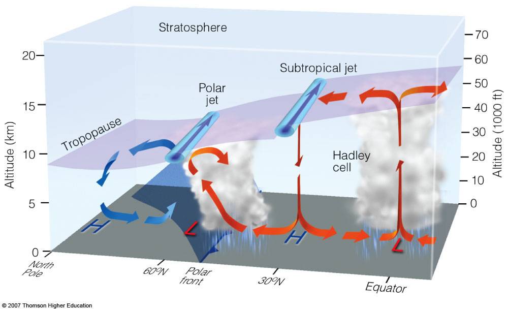 The general circulation of the atmosphere where the polar front exists between 45°-60° latitude