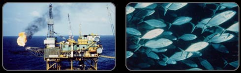 The continental shelf is important as a site for oil extraction and productive fish stocks.