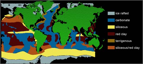 Distribution of different types of mineral