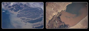 Quite striking patterns emerge when marine sediments at different locations are examined