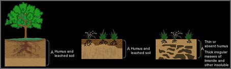 Soil structure