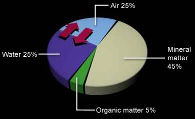 Typical composition of a soil