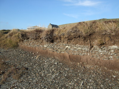 A soil cross-section