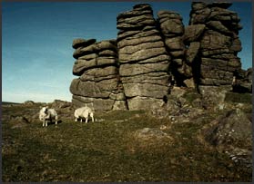 Basalt pillars, Dartmoor