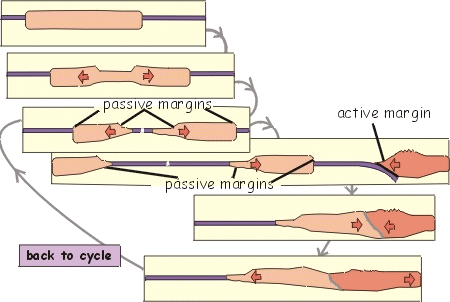 Types of continental margin