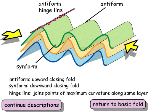 Antiform - synform