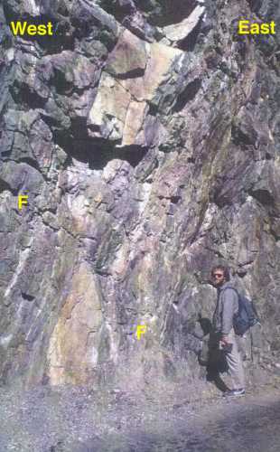 A cataclastic fault cutting steep foliation in high-grade metasediments of the Nanga Parbat massif.