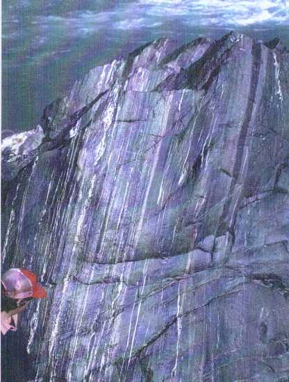 Highly sheared rocks of the Kohistan island arc.